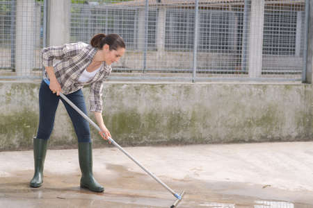 cleaning time for kennel assistantの写真素材