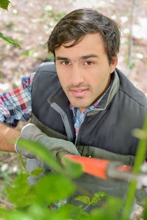 gardenerの写真素材