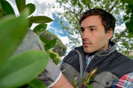 man in the gardenの写真素材