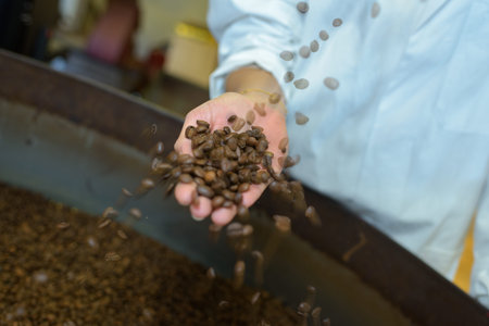 Coffee beans cascading over hand