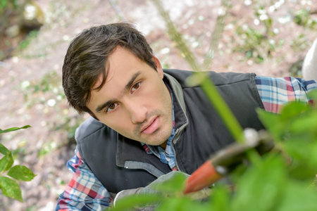 gardener pruning