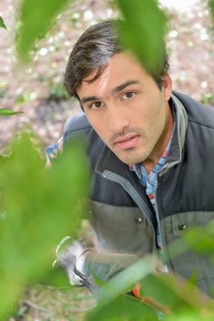 Worker looking up through leaves