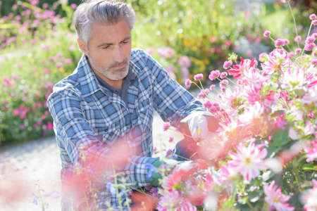 gardener attending flowersの写真素材
