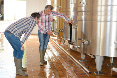men checking vats