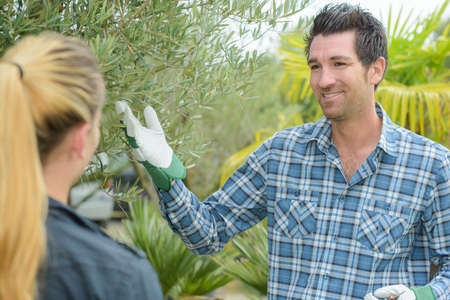 Male gardener presenting plantの写真素材