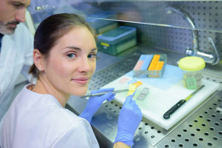 forensic latent print examinerの写真素材