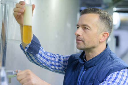 brewer examining the beer for its purityの写真素材