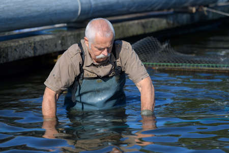 older guy in the water at caviar farmの写真素材