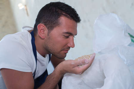 Man smelling handful of grainの写真素材