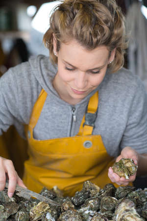 oyster worker holding fresh opened oyster in handsの写真素材