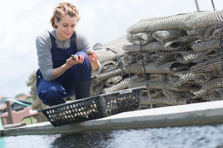 young female working in fish farmの写真素材