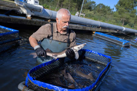 fishermen and the fish farmの写真素材