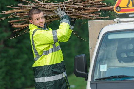 tree surgeon putting branches in his car