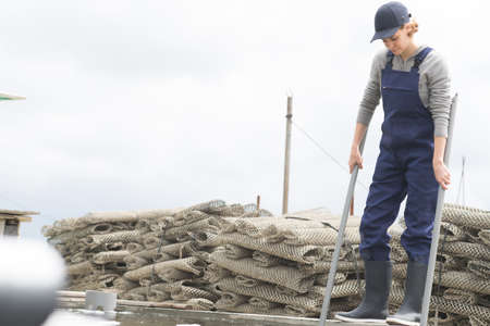 female worker with oysters in metal bag on farmの写真素材