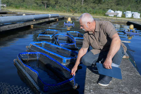 senior manager inspecting nets at fish farmの写真素材