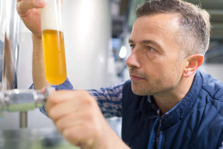 happy brewer checking beer with hydrometer at breweryの写真素材
