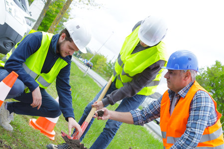 garden workers are digging in a park