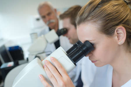 observing under the microscopesの写真素材