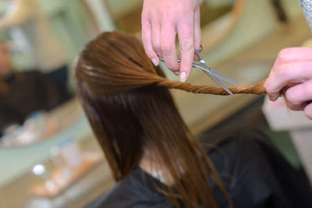 cutting hair in a beauty salonの写真素材