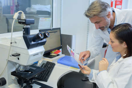 Medical workers looking at documentの写真素材