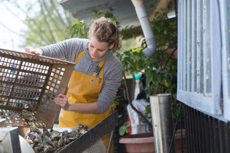 woman working at a marketの写真素材