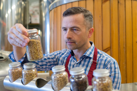 man checking beer malt in a laboratory