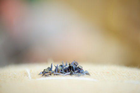 bunch of construction nailsの写真素材