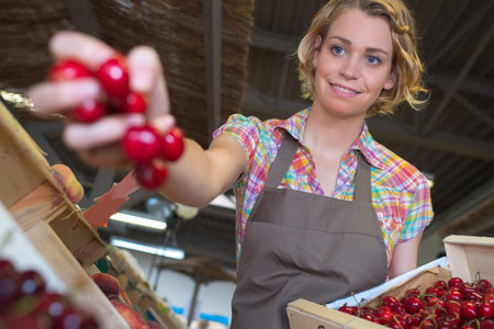 female berry seller at work