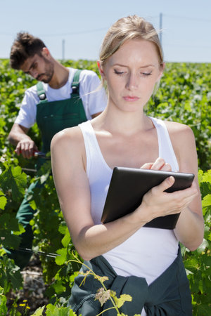 woman using a tablet while working on vineyard