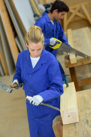 Male and female carpenters at work