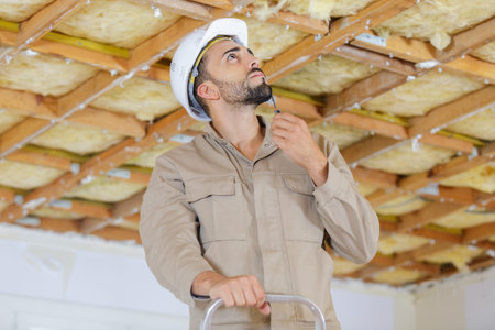 builder is on the ladder