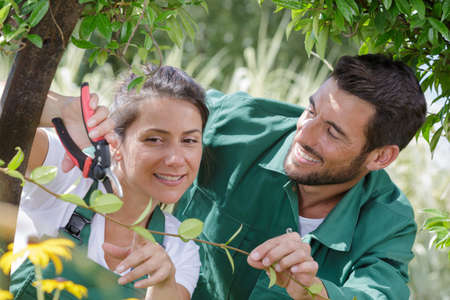 woman and man caring for treeの写真素材