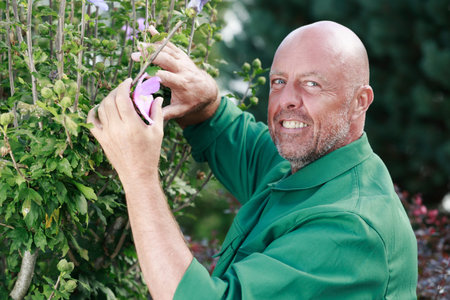 happy professional male gardener pruning hedge