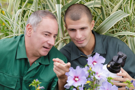 men with garden sprayer looking at flowersの写真素材