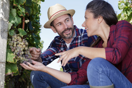 couple middle aged during harvest time