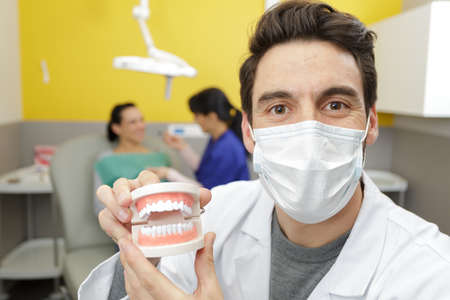 dentist studying model of mouthの写真素材