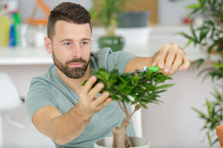 happy man taking care of bonsai plantの写真素材