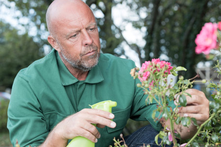 an older man cutting flowers
