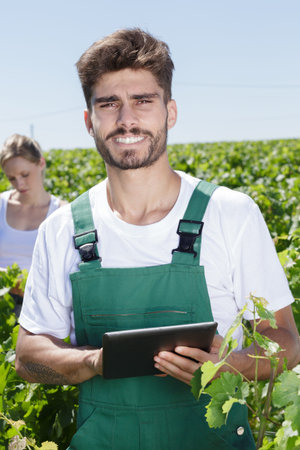 young male farmer holding tablet in vineyard