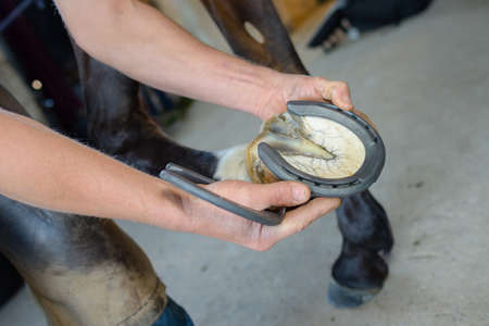 hammering the horseshoe close upの写真素材