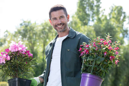 professional male worker holding houseplantsの写真素材