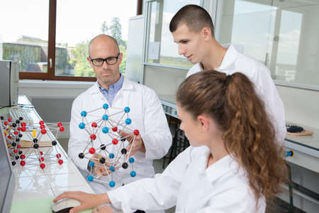 diligent students studying dna modelの写真素材