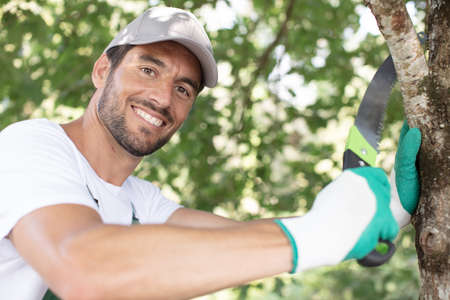 smiling farmer pruning branches of fruit treeの写真素材