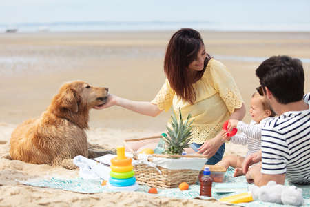 couple of guys playing with their dog on the beachの写真素材