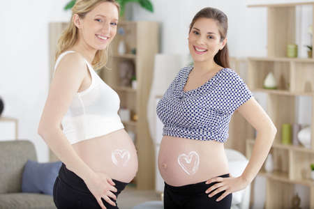 portrait of bellies of 2 pregnant womenの写真素材