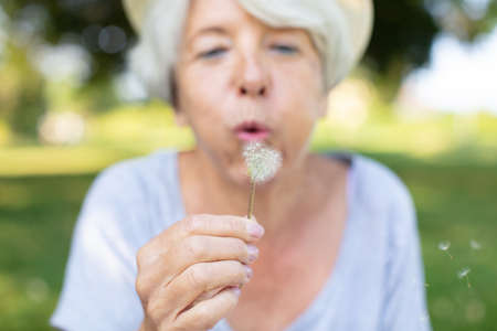 senior woman blowing dandelion at the meadowの写真素材