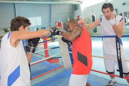 training to become a boxer