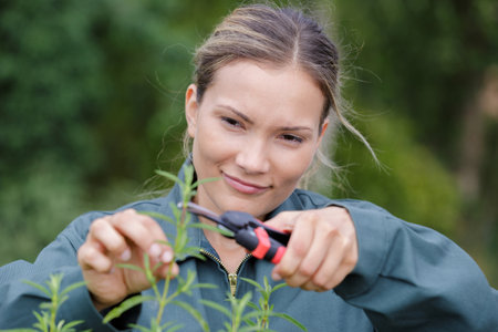 portrait of woman cutting branches in gardenの写真素材