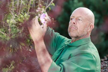mature man cutting flowers in backyardの写真素材