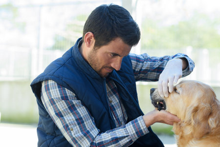 handsome male vet during examinationの写真素材